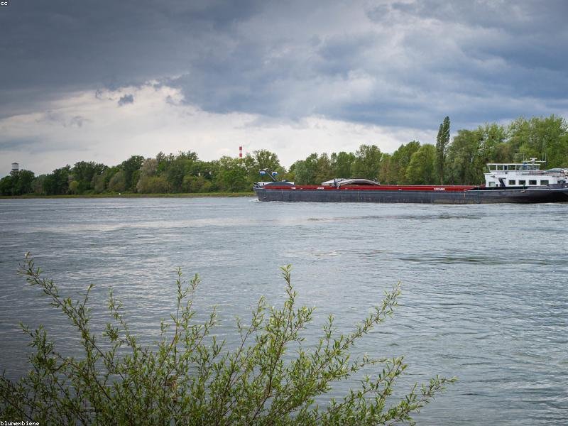 Global shipping